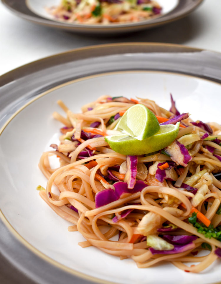 Spicy Thai Noodle Salad Cooking For Everyone,Aglaonema Pictum Tricolor